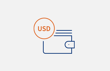 Wallet and USD